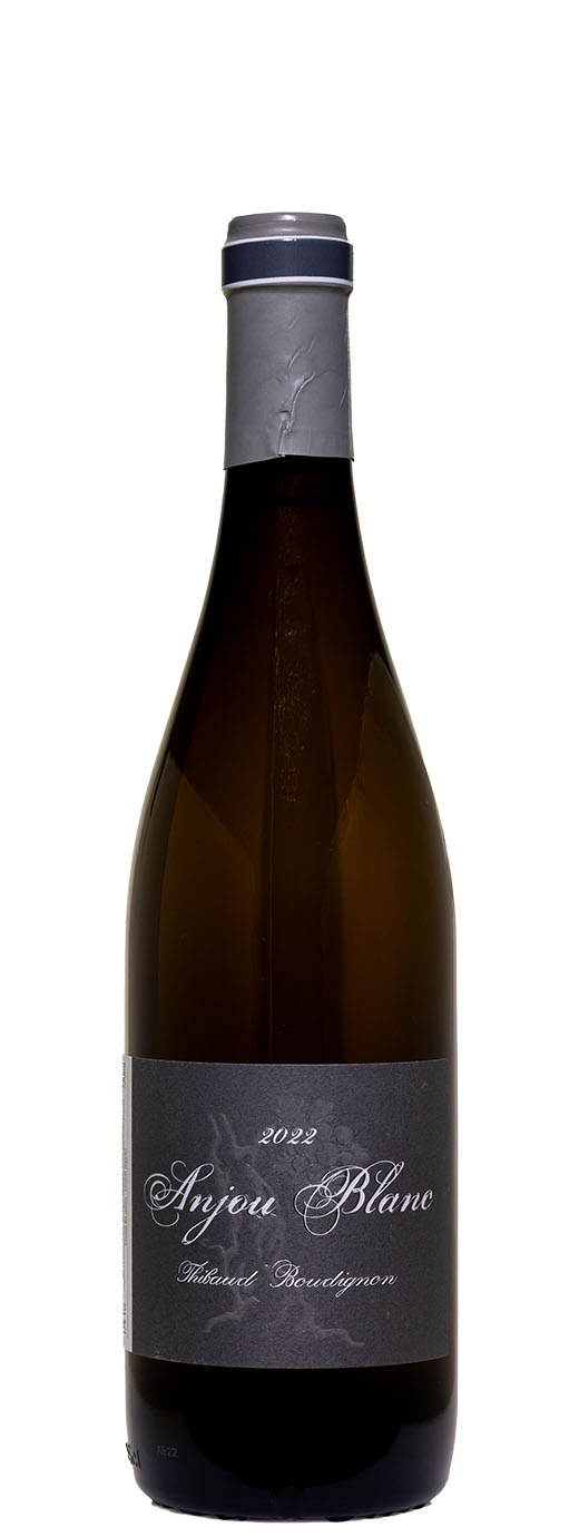 2022 Thibaud Boudignon Anjou Blanc