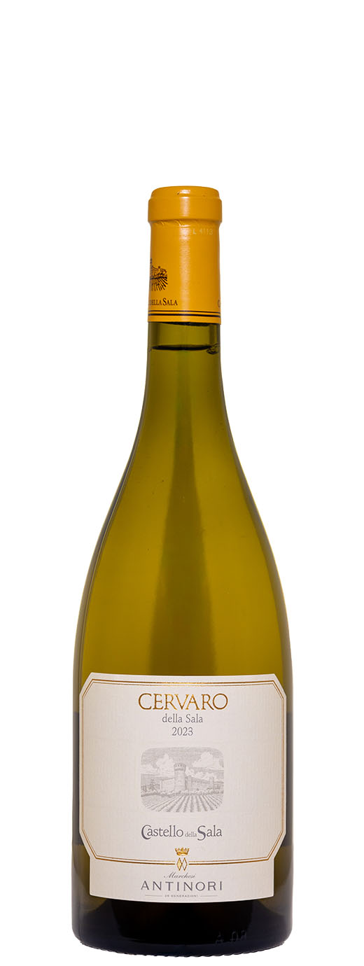 2023 Antinori Cervaro della Sala
