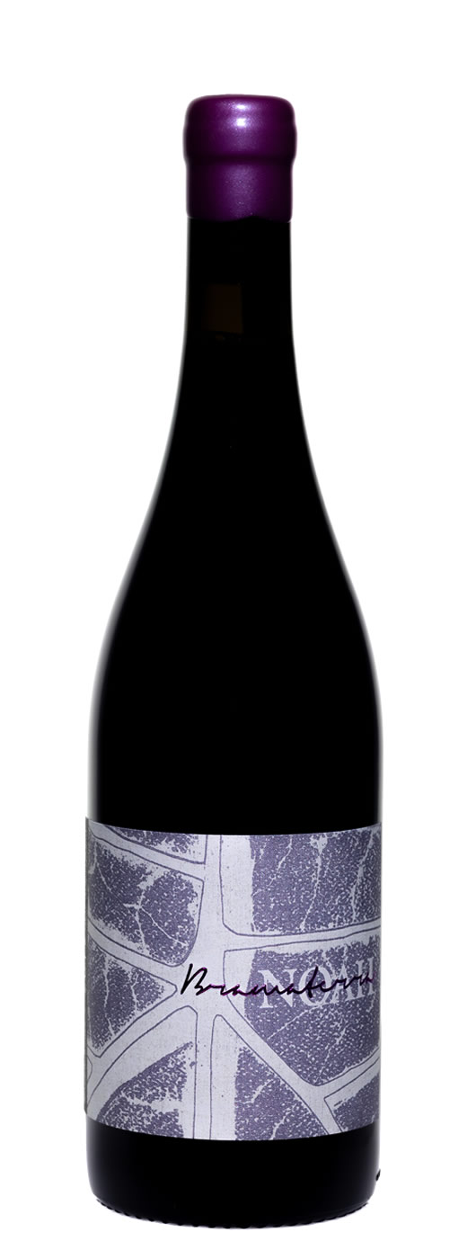 Mauro distorting leone collezione 2018