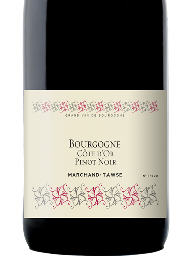 2023 Marchand-Tawse Bourgogne Cote d'Or